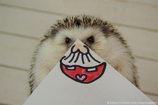 Illustration for article titled Hedgehog Impersonates Pikachu (and More)